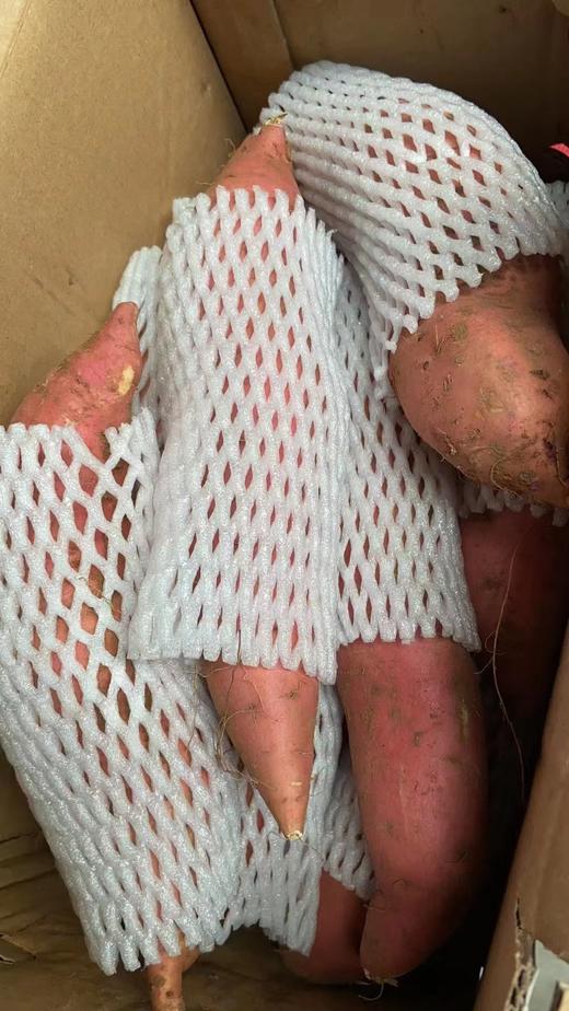 锋诚蜜薯一箱（拼团） 商品图1