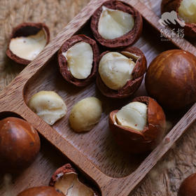 生态夏威夷果（鲜果带壳）|  合作生产* Eco- Macadamia nut  | Coproduction