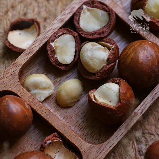 生态夏威夷果（鲜果带壳）|  合作生产* Eco- Macadamia nut  | Coproduction 商品图0