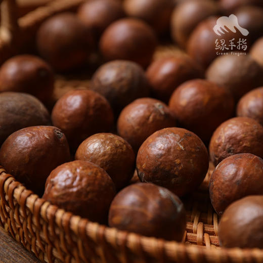 生态夏威夷果（鲜果带壳）|  合作生产* Eco- Macadamia nut  | Coproduction 商品图5