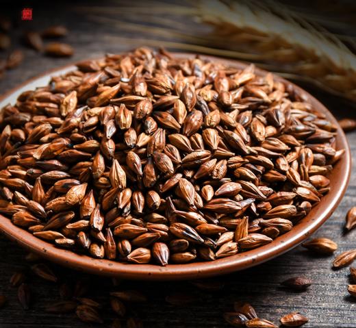 静宁 大麦茶  450g 商品图3