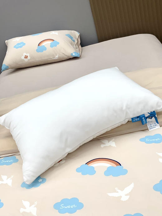 顶柔 出口欧美高端云朵枕头一对装 60支新疆长绒棉防水防尘防螨 可机洗 商品图2