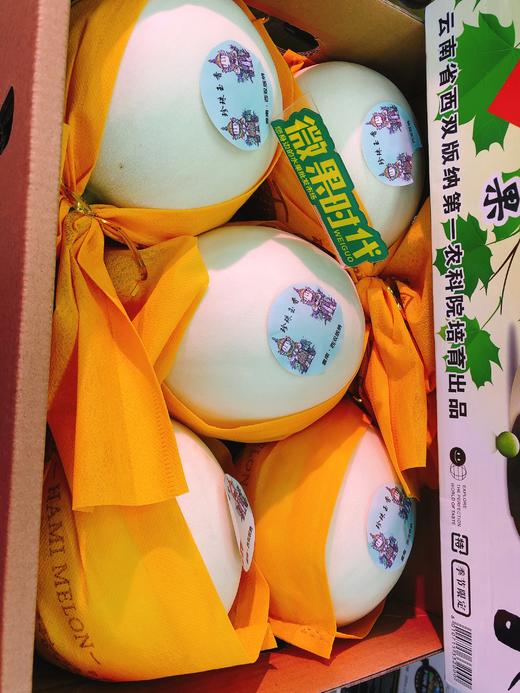 珍珠玉香瓜一箱（拼团） 商品图0