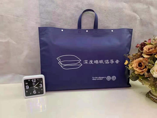 顶柔 出口欧美高端云朵枕头一对装 60支新疆长绒棉防水防尘防螨 可机洗 商品图1