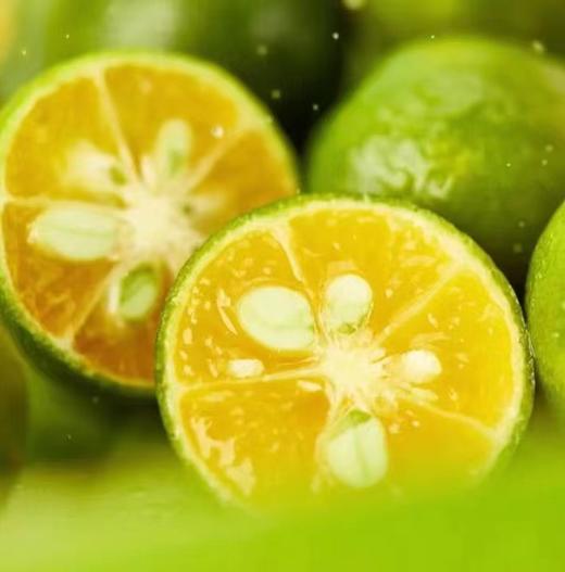 灿烂的橘 商品图3