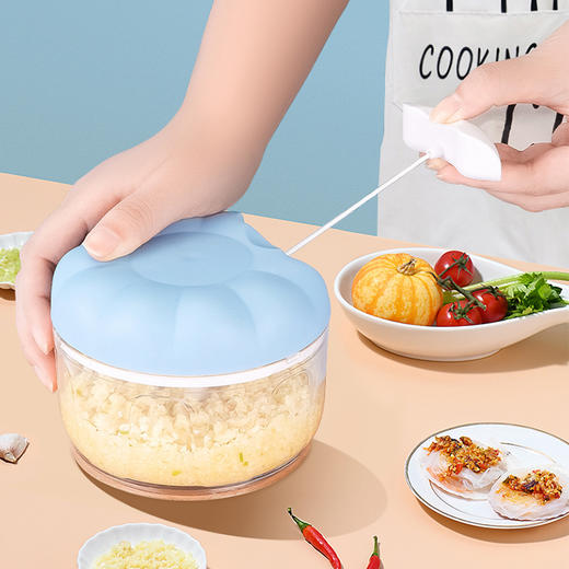 家用手动蒜泥器 商品图0