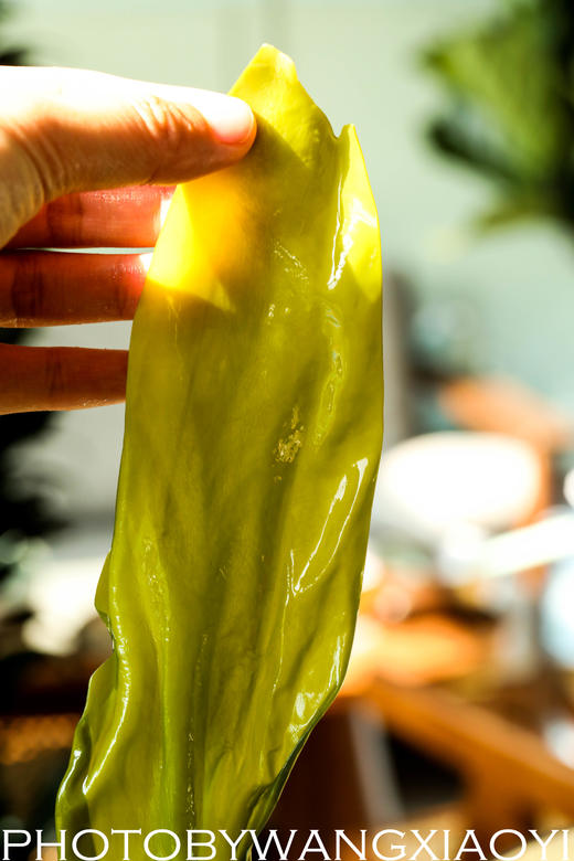 山东有机小海带 商品图1