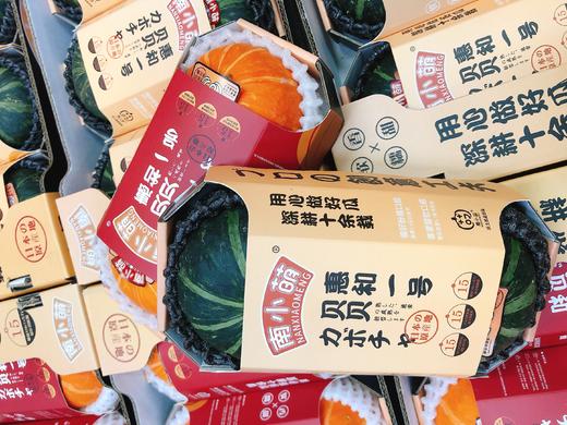 南小萌贝贝瓜（绿南瓜）一盒（拼团） 商品图0