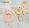 Gabriel达尔西 30CM 商品缩略图2