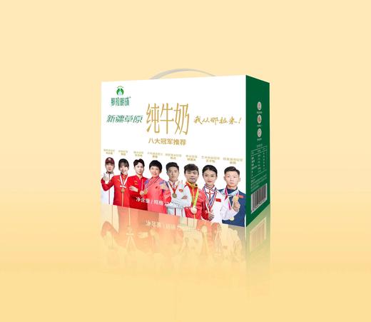 那拉明珠新疆草原纯牛奶200ml*10盒 商品图0