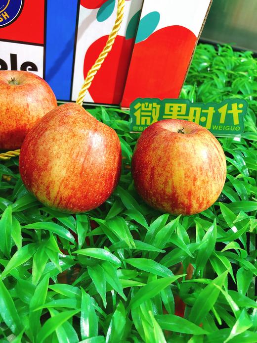 二合一礼盒苹果（拼团） 商品图1