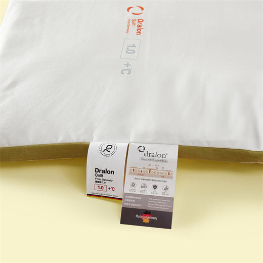 园园亲选顶柔德绒1.0床垫！德绒蓄热锁温冬日必备 商品图4