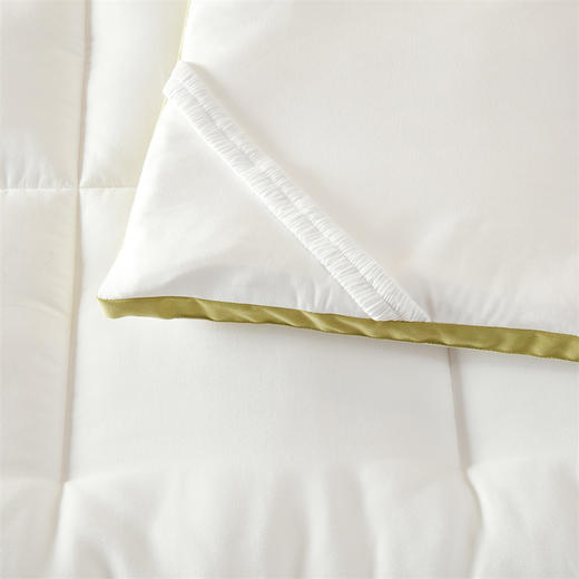 园园亲选顶柔德绒1.0床垫！德绒蓄热锁温冬日必备 商品图1