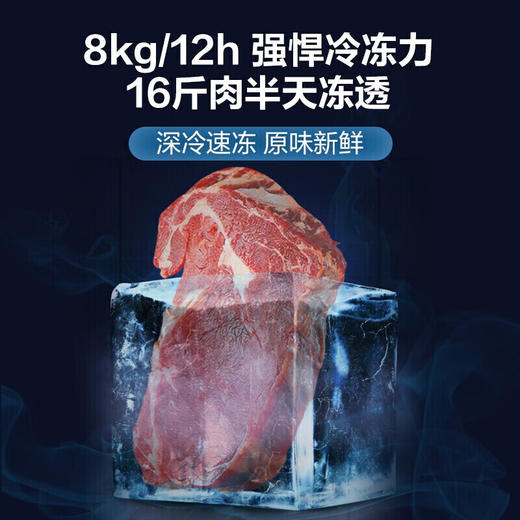 Haier  海尔  515升对开门 一级能效  265升冷冻空间+250 升冷藏 黄金比设计双变频 大冷冻黑金净化冰箱 515星蕴银 商品图4