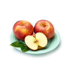 H大凉山野生苹果中果一份3斤左右