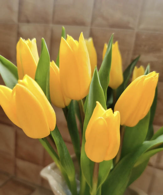 【国产郁金香】 黄色  约10支/扎 商品图8