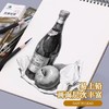 马利炭画铅笔美术生素描速写特软性碳笔玛丽马力绘画硬性黑白色高光绘画笔中性炭画铅笔画画1支 商品缩略图3