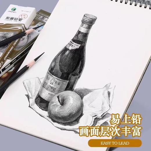 马利炭画铅笔美术生素描速写特软性碳笔玛丽马力绘画硬性黑白色高光绘画笔中性炭画铅笔画画1支 商品图3