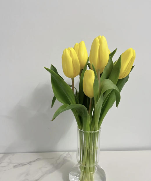 【国产郁金香】 黄色  约10支/扎 商品图6