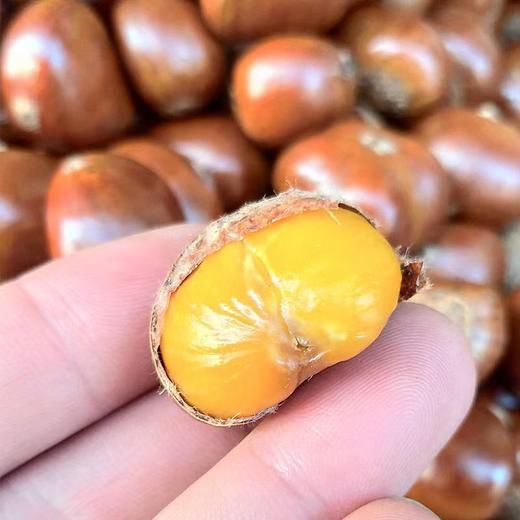 【粉糯香甜】迁西炒板栗1000g/份 商品图1