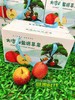 大凉山盐源苹果一箱（拼团） 商品缩略图0