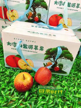 大凉山盐源苹果一箱（拼团）