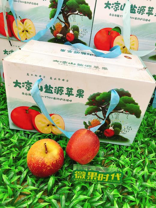 大凉山盐源苹果一箱（拼团） 商品图0