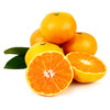 浙江小叶橘 商品缩略图0