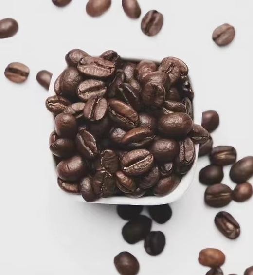 明月松风 商品图3