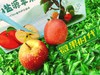 大凉山盐源苹果一箱（拼团） 商品缩略图2