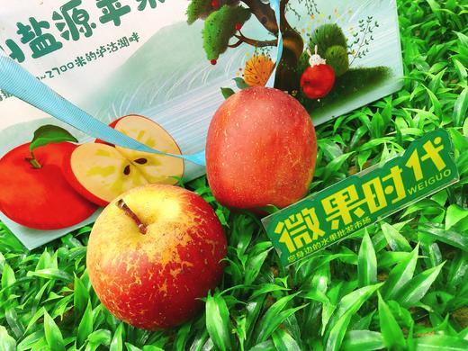 大凉山盐源苹果一箱（拼团） 商品图2