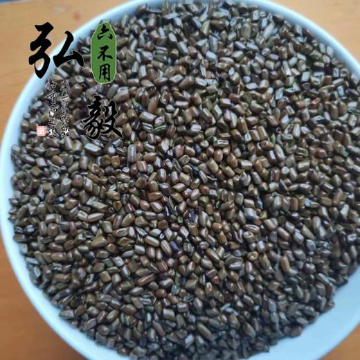 【弘毅六不用生态农场】六不用 决明子 250克/份 产自食物森林 商品图2