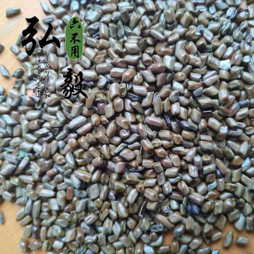 【弘毅六不用生态农场】六不用 决明子 250克/份 产自食物森林 商品图0