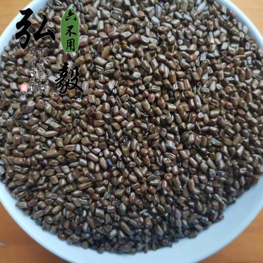 【弘毅六不用生态农场】六不用 决明子 250克/份 产自食物森林 商品图1