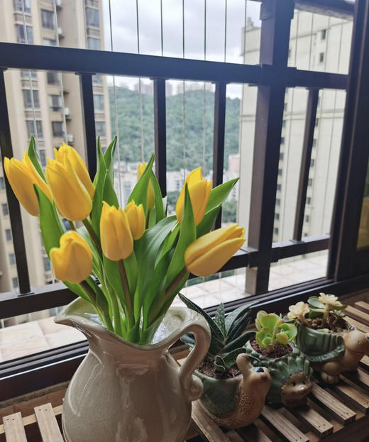 【国产郁金香】 黄色  约10支/扎 商品图7