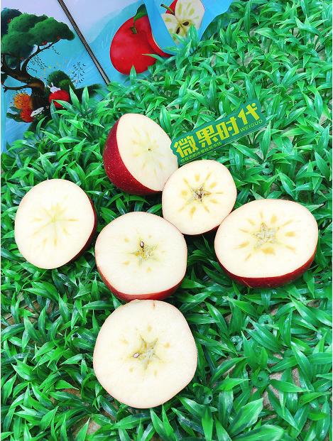 大凉山盐源苹果一箱（拼团） 商品图3