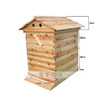 自流蜜蜂箱自流蜜蜂巢自动取蜜巢础巢脾全套 商品缩略图2