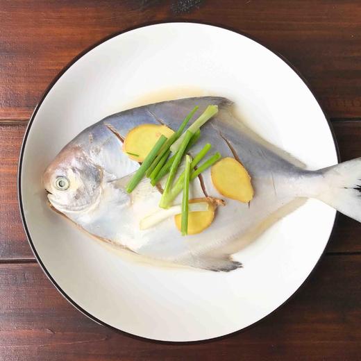 🐟舟山野生深海银鲳鱼/大白鲳/肉质细腻，软糯，油脂感强 商品图1