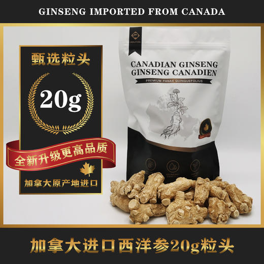 加拿大进口西洋参粒头尊享装 黄金参龄 品质升级 454g/袋【3种规格可选】（跨境） 商品图2