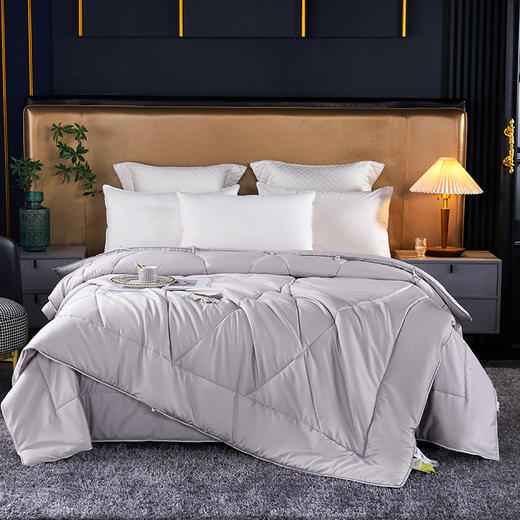 2022新款 钻石级细羊毛加厚冬被 细如羊绒 手感如羊奶蛋糕 商品图1