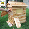 自流蜜蜂箱自流蜜蜂巢自动取蜜巢础巢脾全套 商品缩略图1