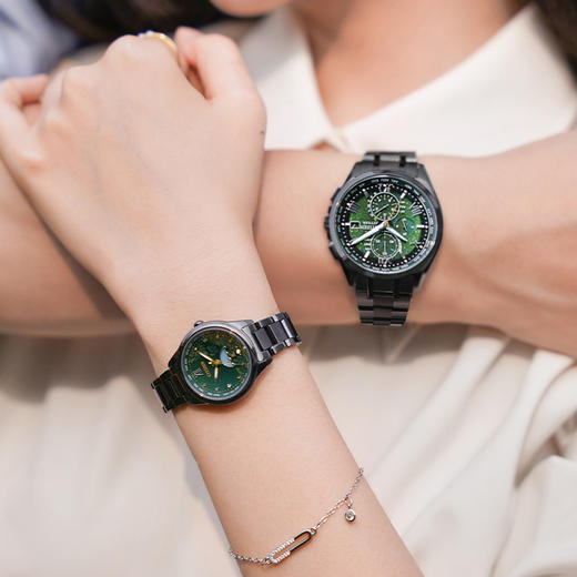 西铁城光动能电波商务休闲舒博钛材质空中之鹰系列男表AT8049-61W 商品图6