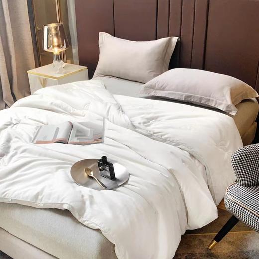 长年热卖 55%臻品大豆蛋白亲肤冬被 手感软糯 超赞贴身度 商品图0