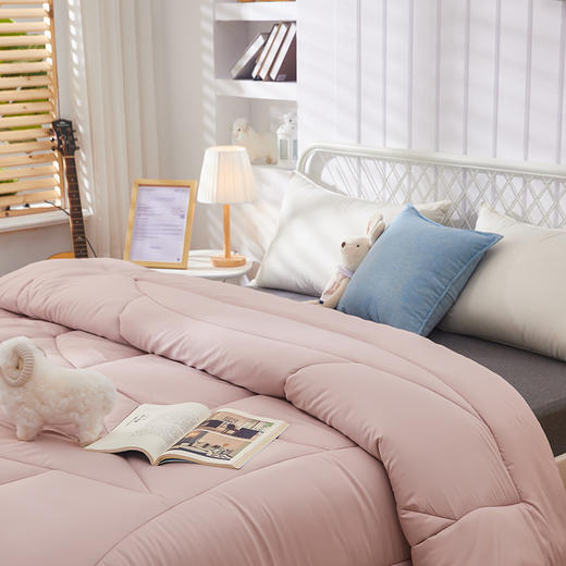 学子澳毛保暖冬被 面料亲肤贴身 立体工艺更保暖 商品图1