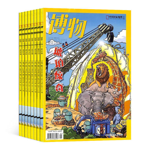 【胖爸专享】万物+博物 组合订阅 1年共12期 科普百科书籍 自然科学历史人文 商品图3