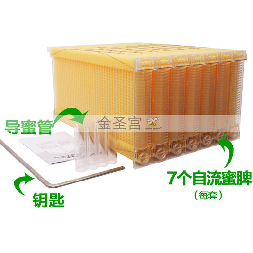 自流蜜蜂箱自流蜜蜂巢自动取蜜巢础巢脾全套 商品图4