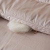 铂金级细羊毛冬被  细如羊绒 软糥贴身 保暖舒适 商品缩略图2
