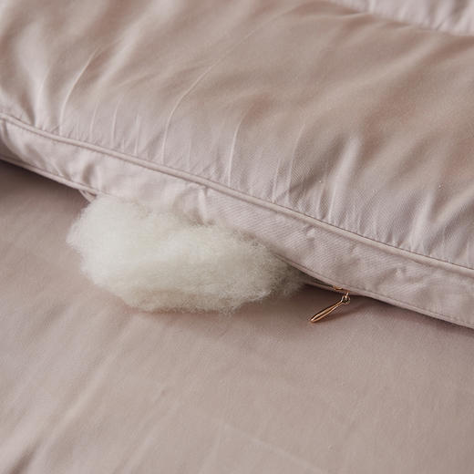 铂金级细羊毛冬被  细如羊绒 软糥贴身 保暖舒适 商品图2