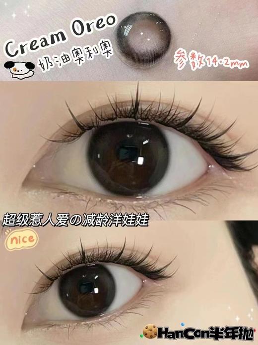 Hancon 半年抛 商品图7