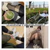 18色-Nike假两件双层加厚棉袜，毛巾底纯棉无骨袜头，男女都能穿 商品缩略图8